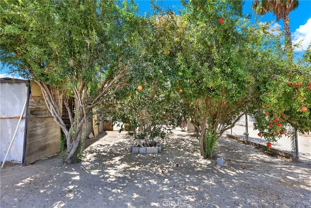 Photo of 3949 BLUFF