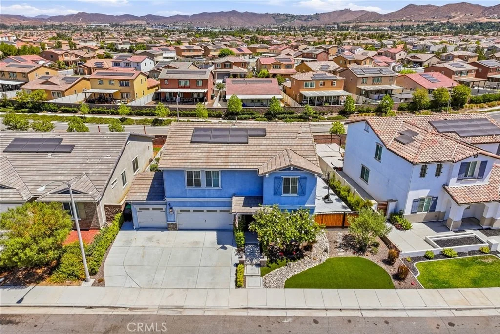 Photo of 29136 Tanoak