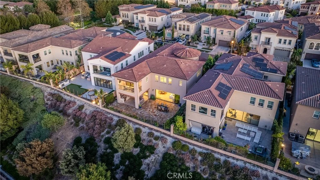 Photo of 17 Calliope