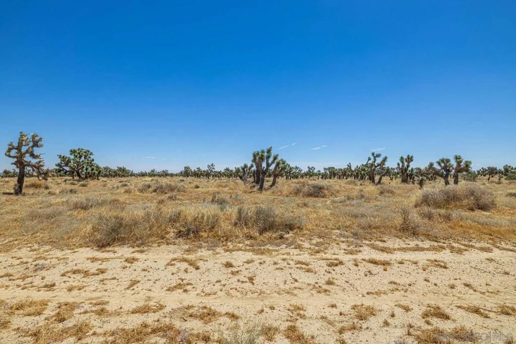 Photo of 0 W AVE B
