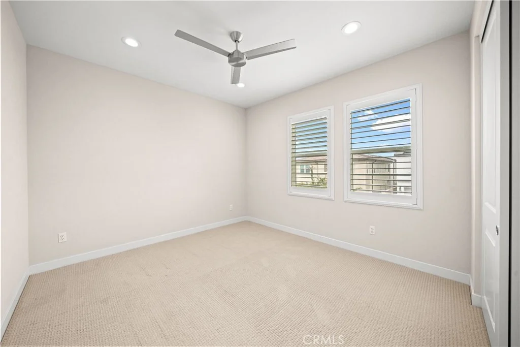 Photo of 200 Brackens