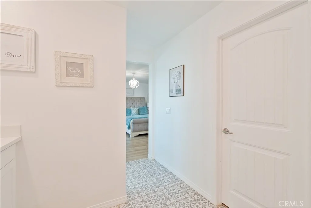 Photo of 1028 Coriander
