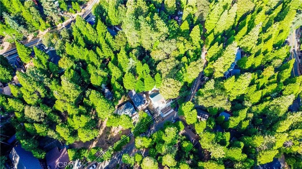 Photo of 744 Woodland