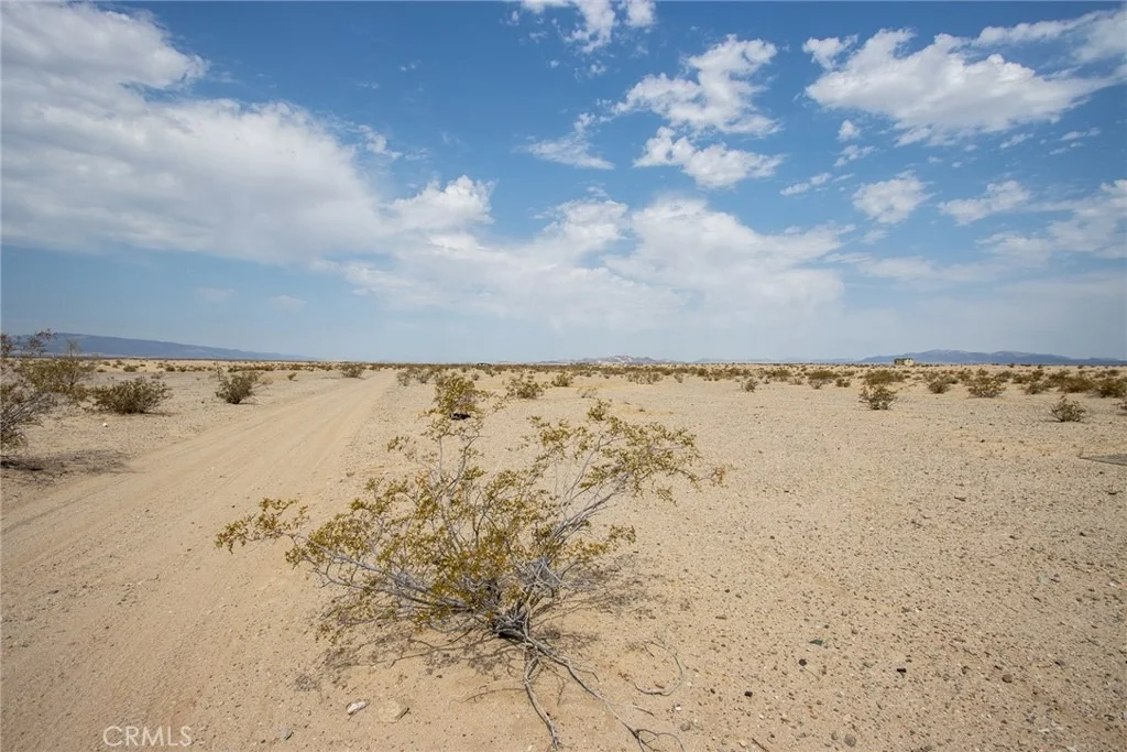 Photo of 2000 Mesa Drive