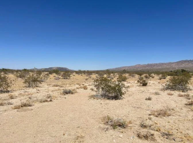 Photo of 117 Border Road