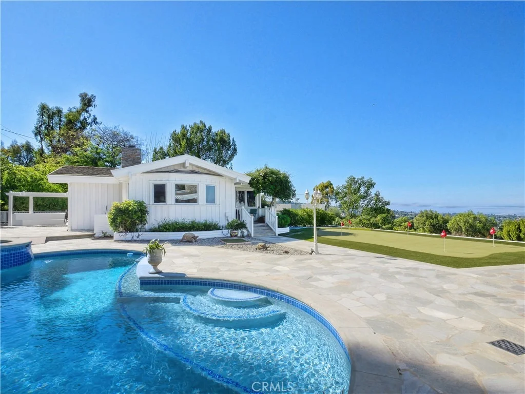 Photo of 49 Saddleback