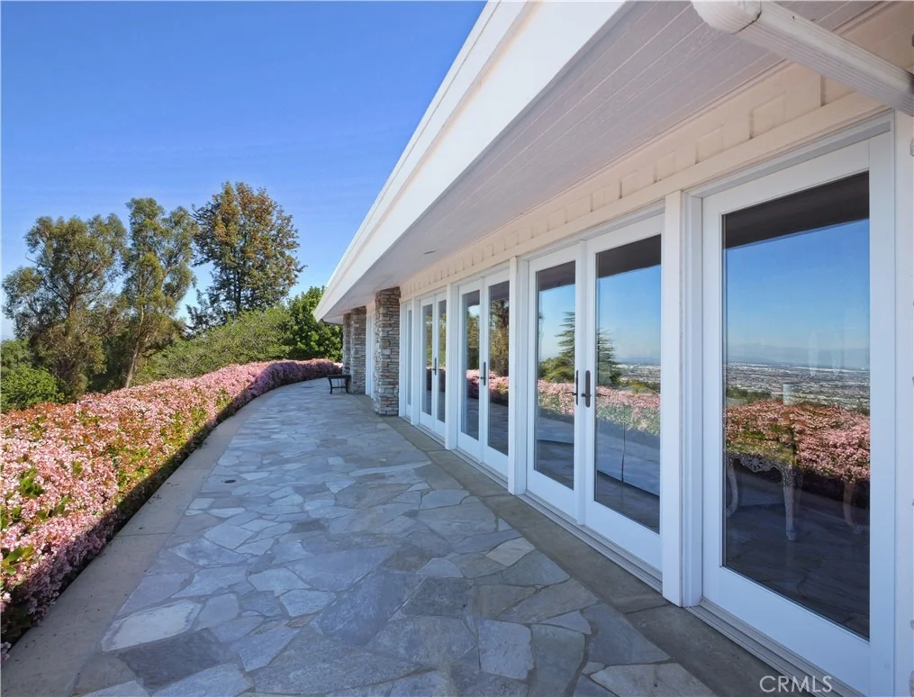 Photo of 49 Saddleback
