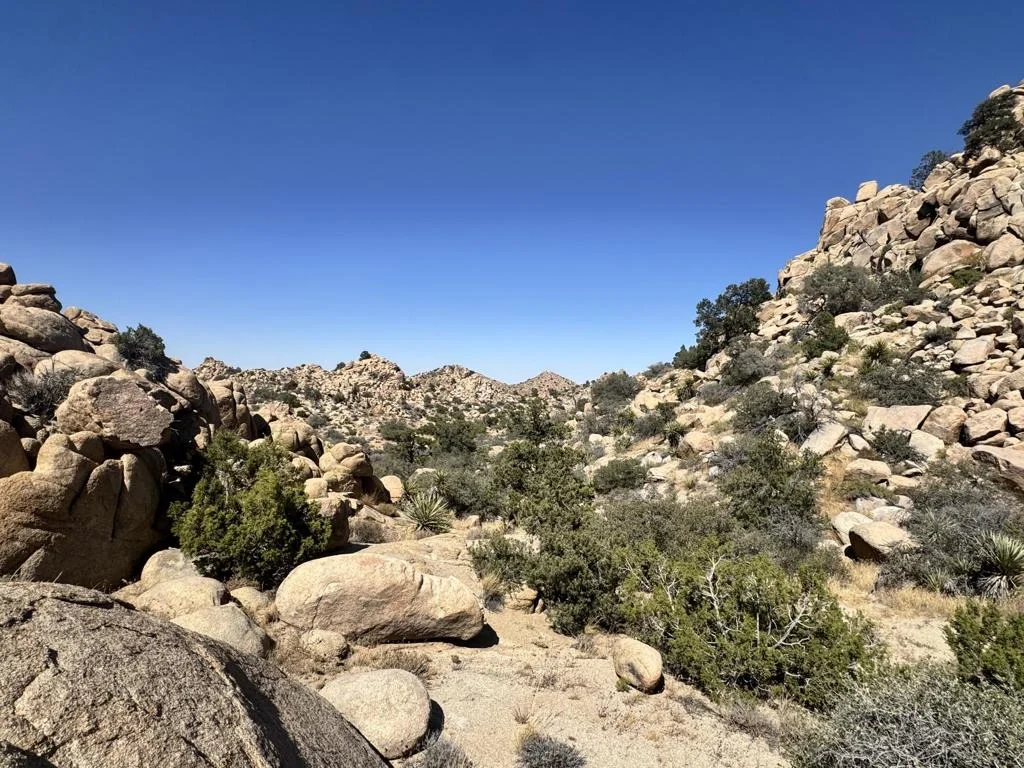 Photo of 5990 Acoma Trail