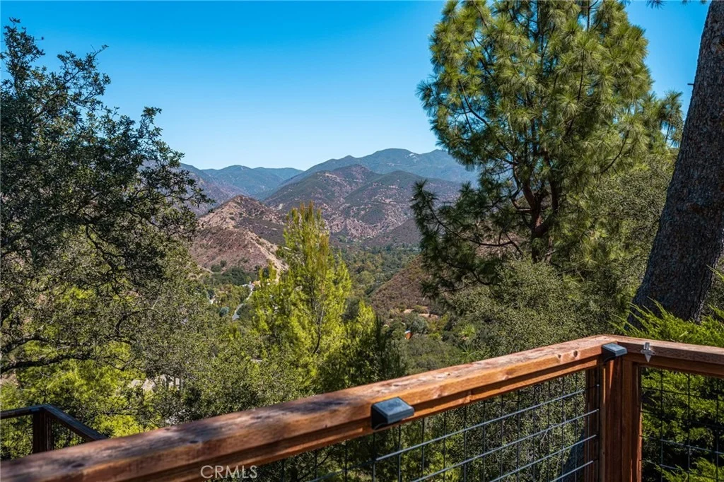 Photo of 28151 Modjeska Grade Road