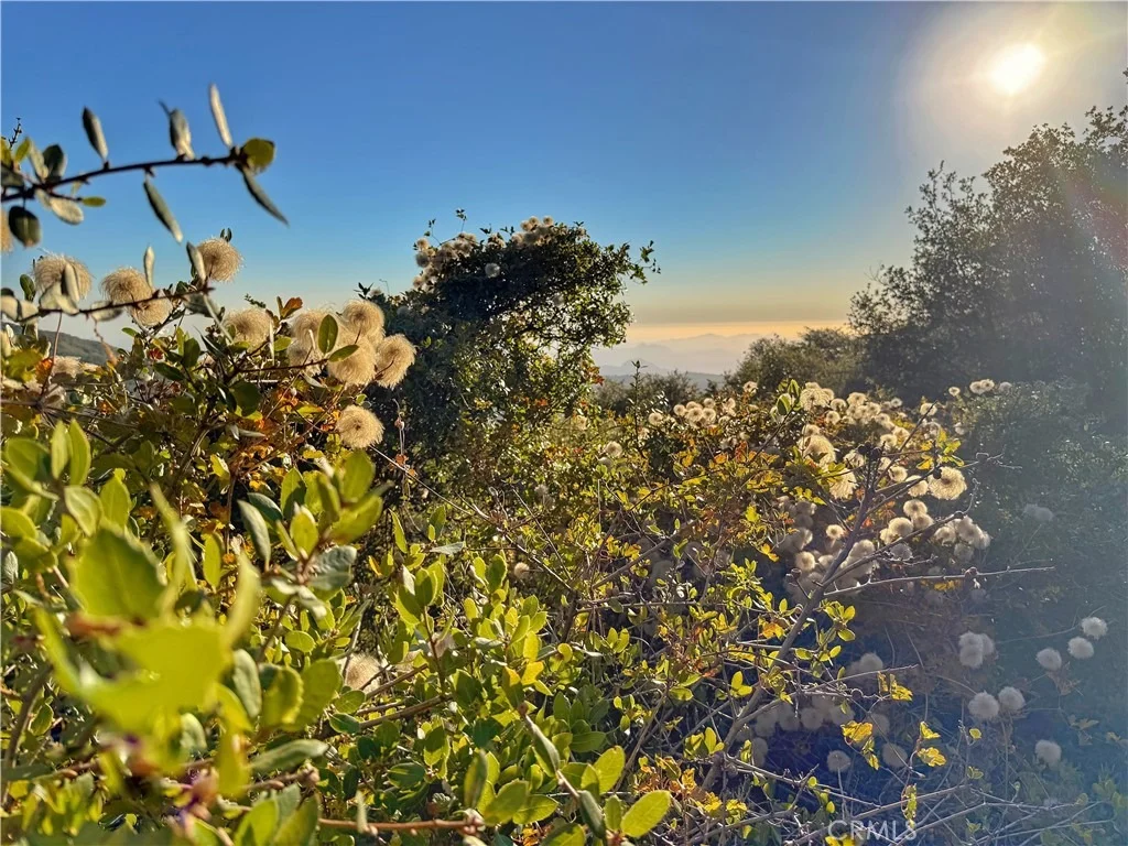Photo of 36105 North Peak