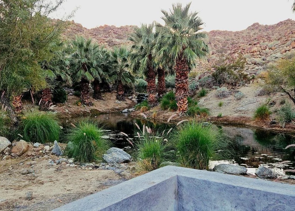 Photo of 48513 Old Stone Trail