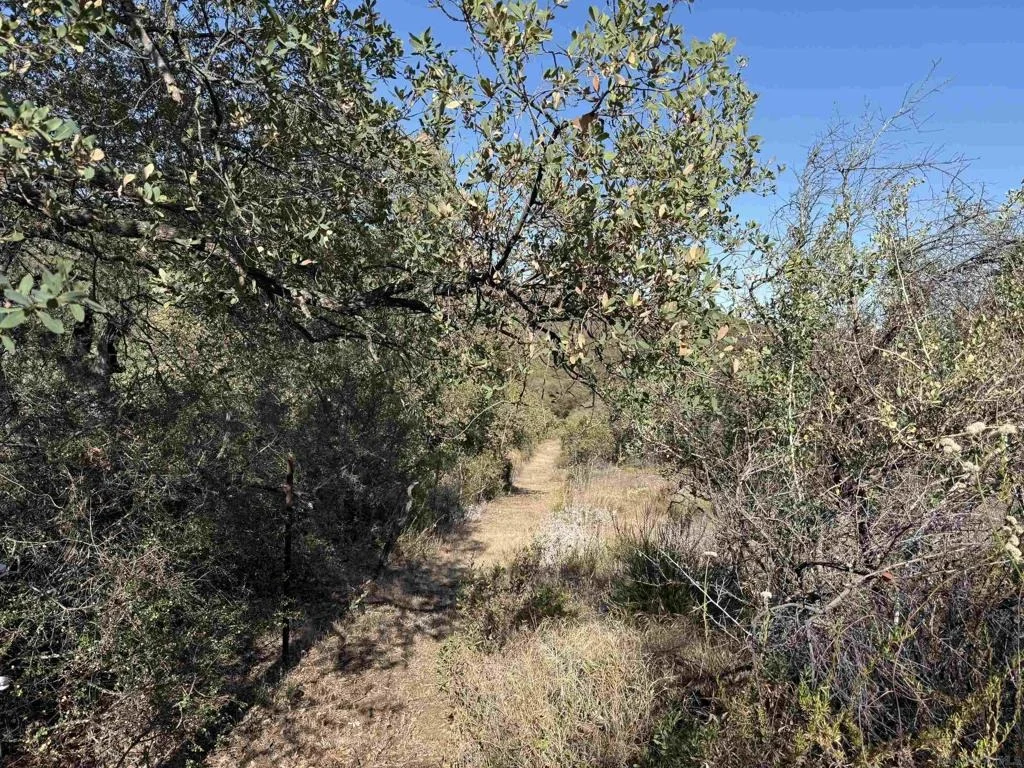 Photo of 22815 Illahee Dr.