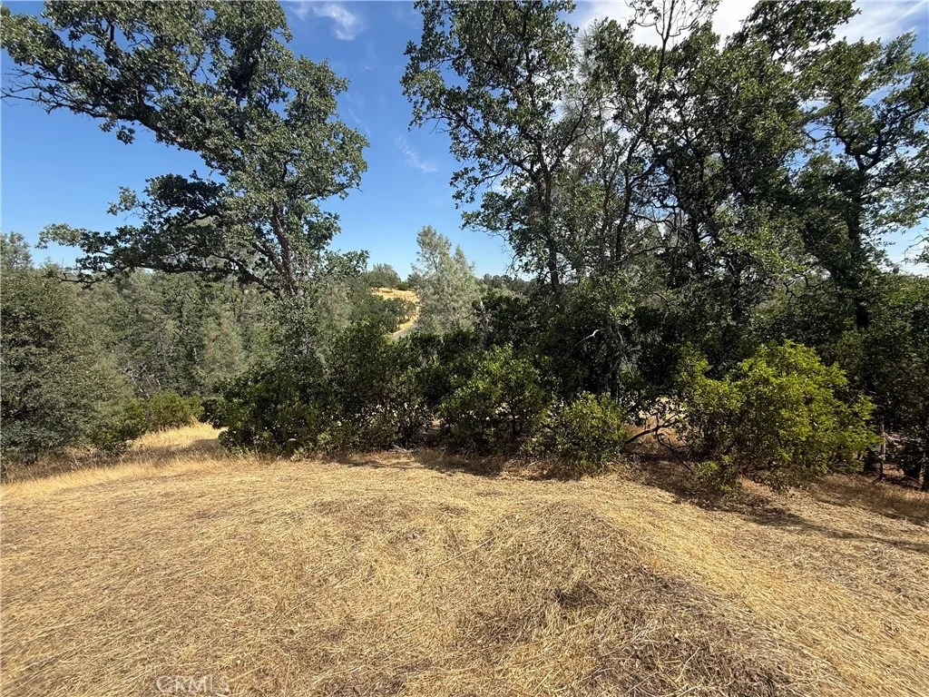 Photo of 16318 Longhorn Lane