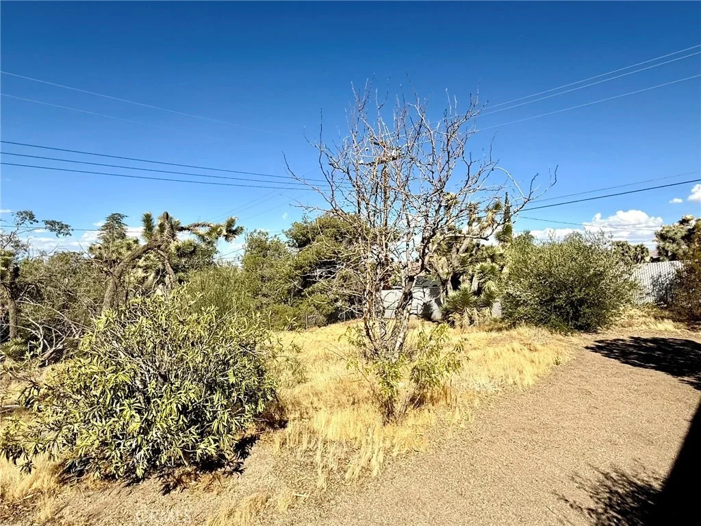 Photo of 56862 La Cadena
