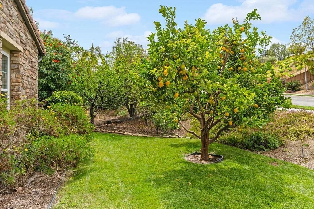 Photo of 5544 Papagallo Drive