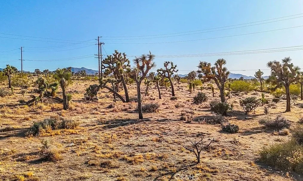 Photo of 7645 La Contenta Road