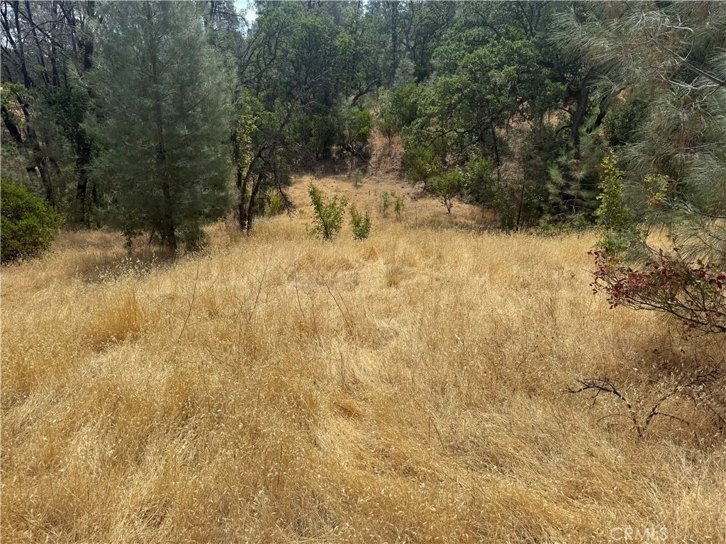 Photo of 16295 Hillcrest Drive