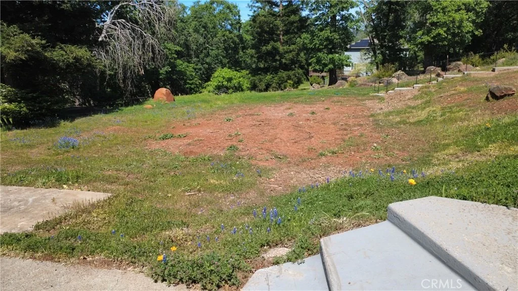 Photo of 231 Pinewood Drive