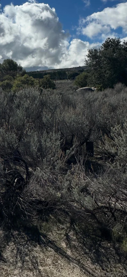 Photo of 2885 Ribbonwood Rd