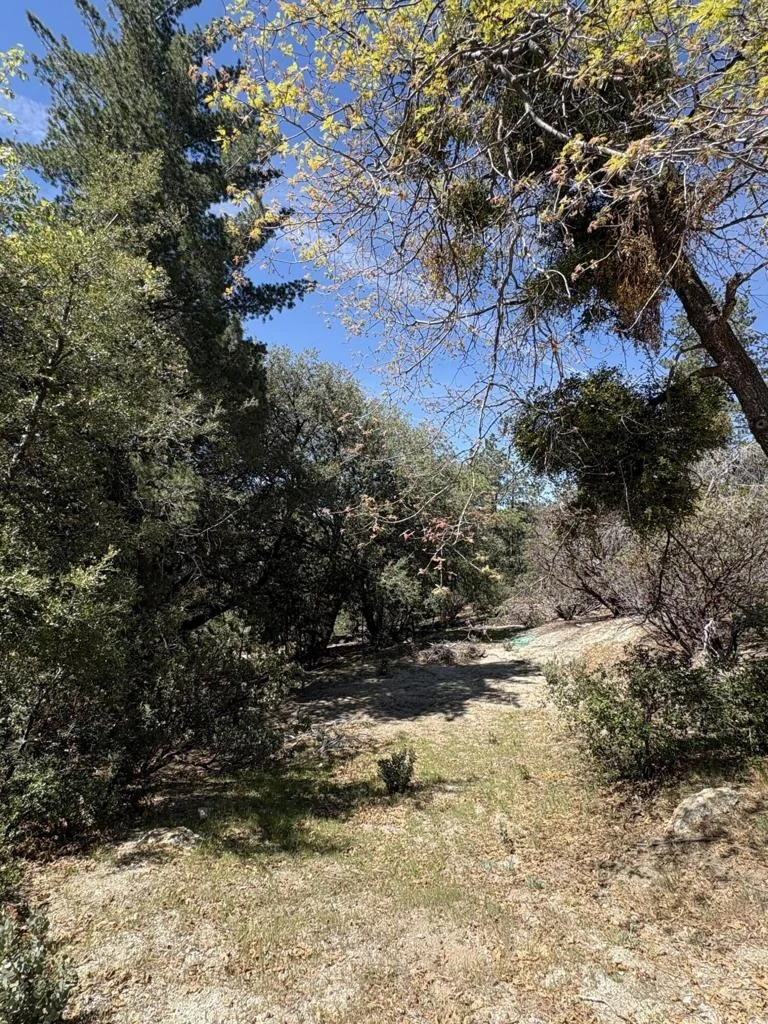 Photo of 0 Schaffer Drive