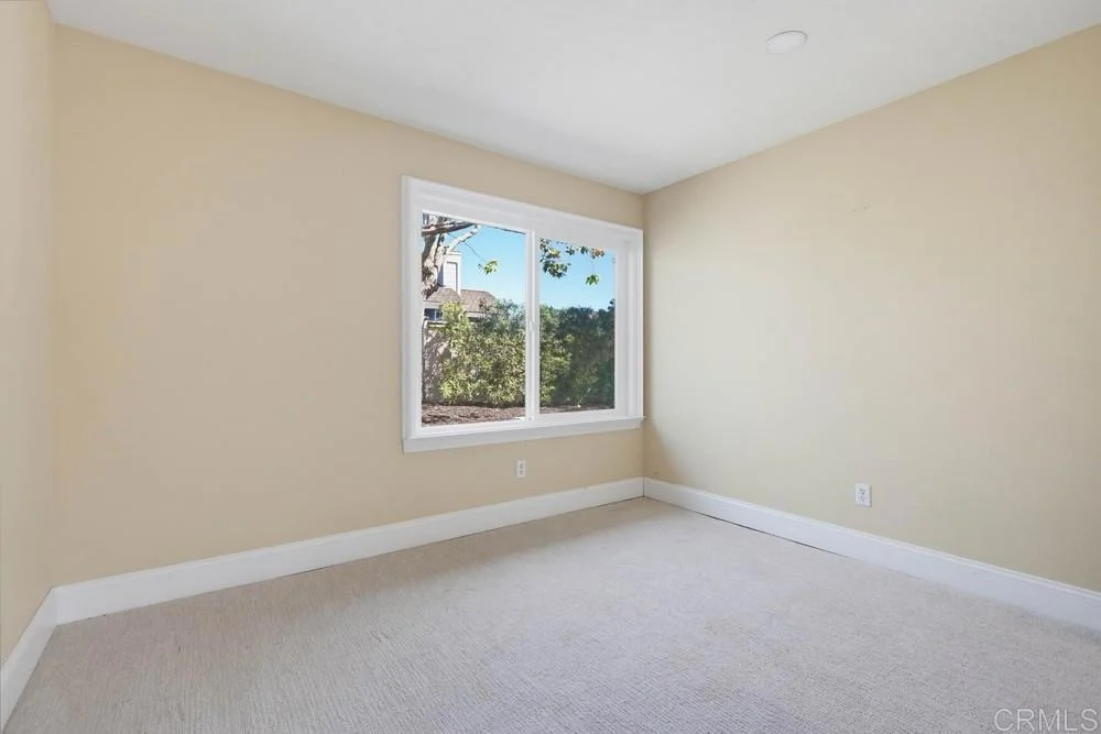Photo of 3 Sunrose