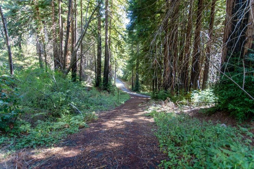 Photo of 19145 Big Basin Way