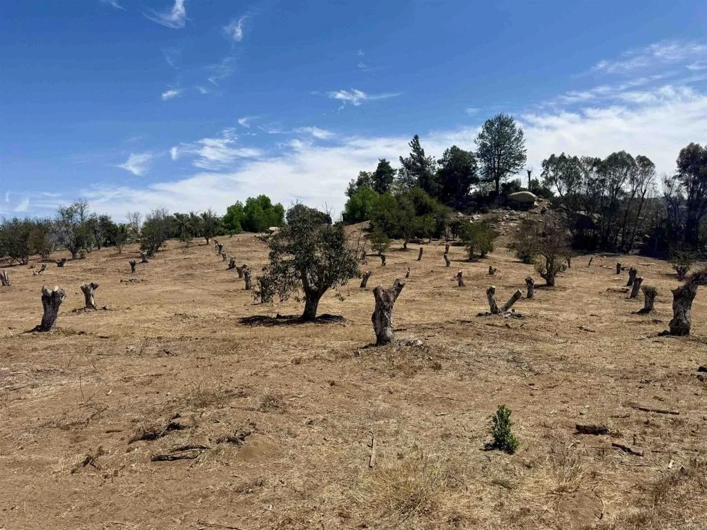 Photo of Canyon Heights Road