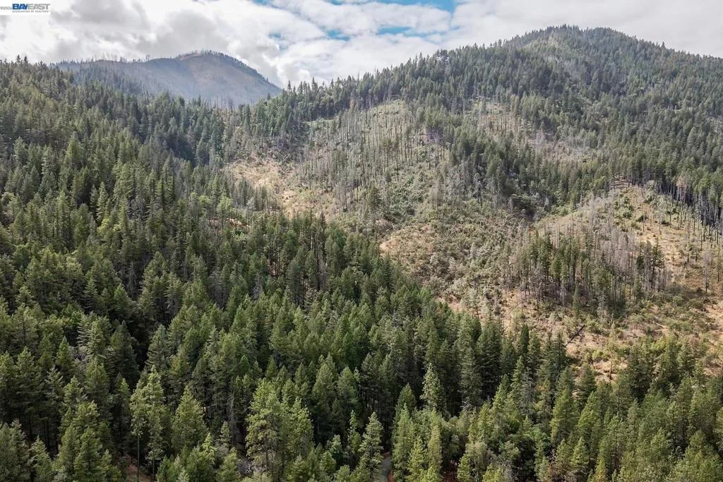 Photo of 2130 Wintu Pass Rd.