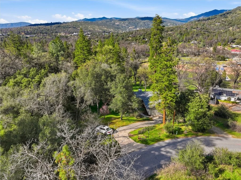 Photo of 50047 Hangtree