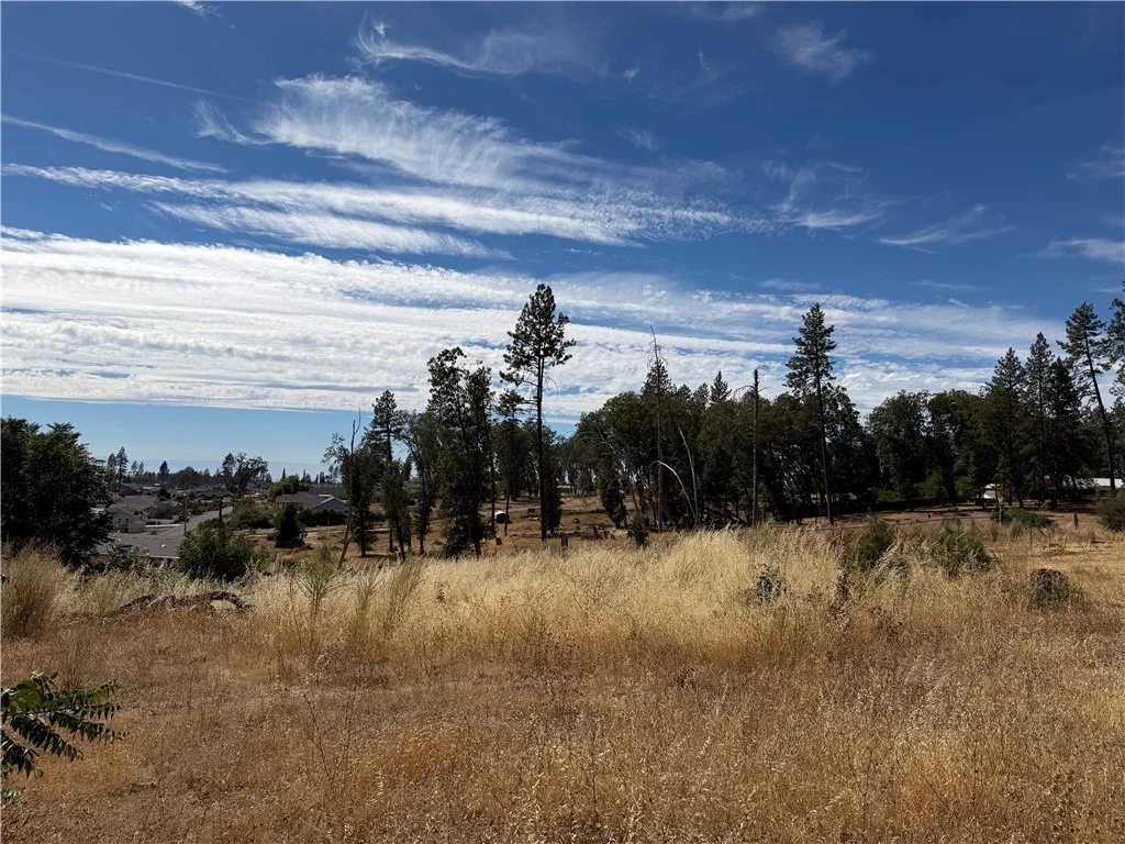 Photo of 7809 Skyway