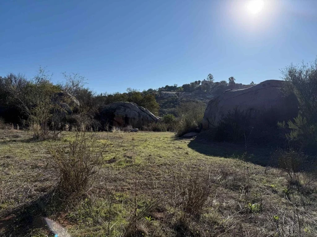 Photo of 12494 Buena Vida Rd