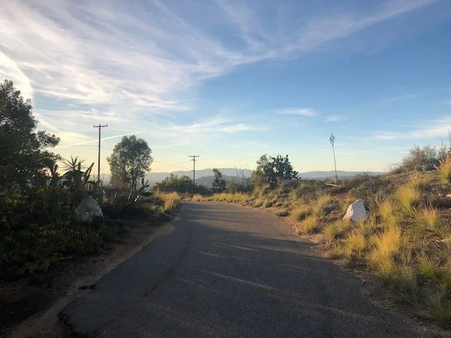 Photo of 0 Rainbow Crest