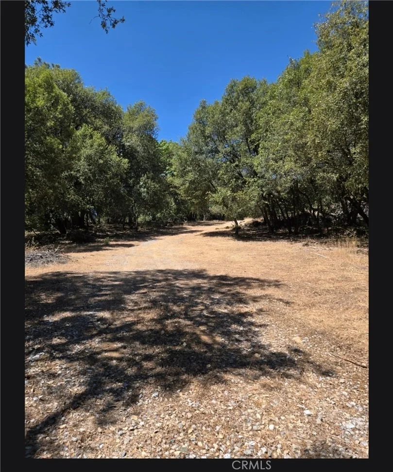 Photo of 1371 Moccasin Trail