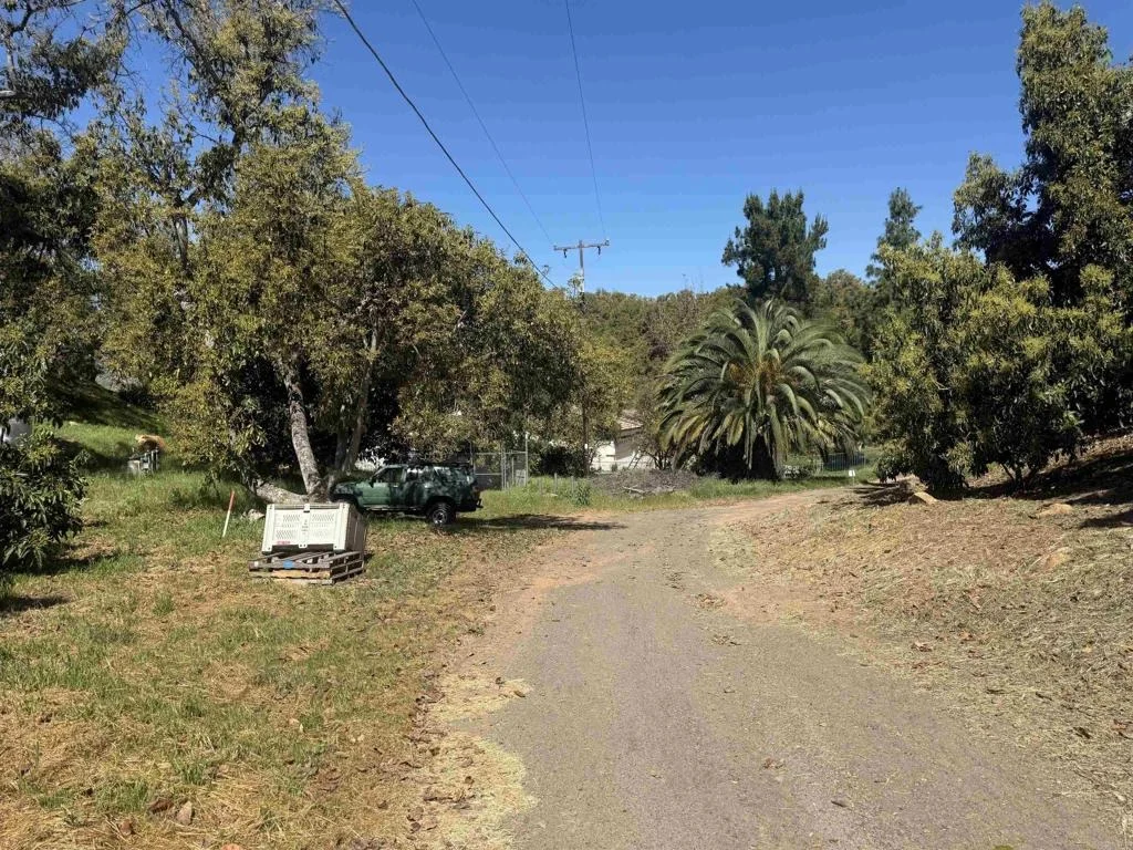 Photo of 3160 Slivkoff Drive