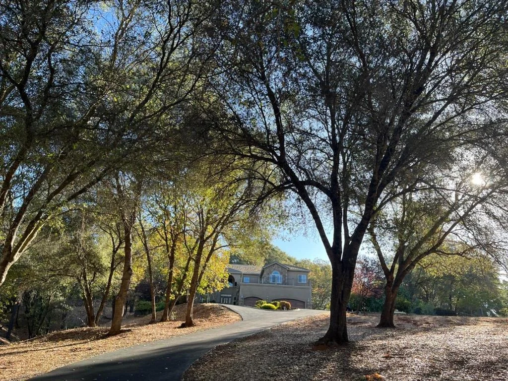 Photo of 1190 Squirrel Creek Place