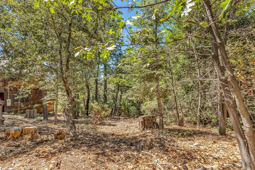 Photo of 24701 Schaffer Drive