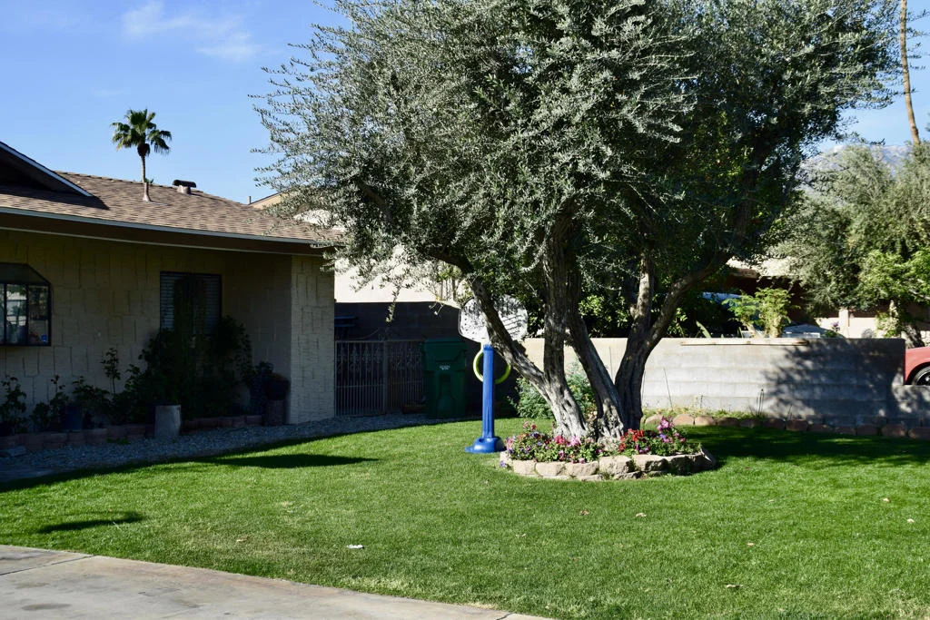 Photo of 68835 Ortega Road