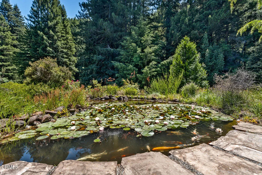 Photo of 31501 Comptche Ukiah Road