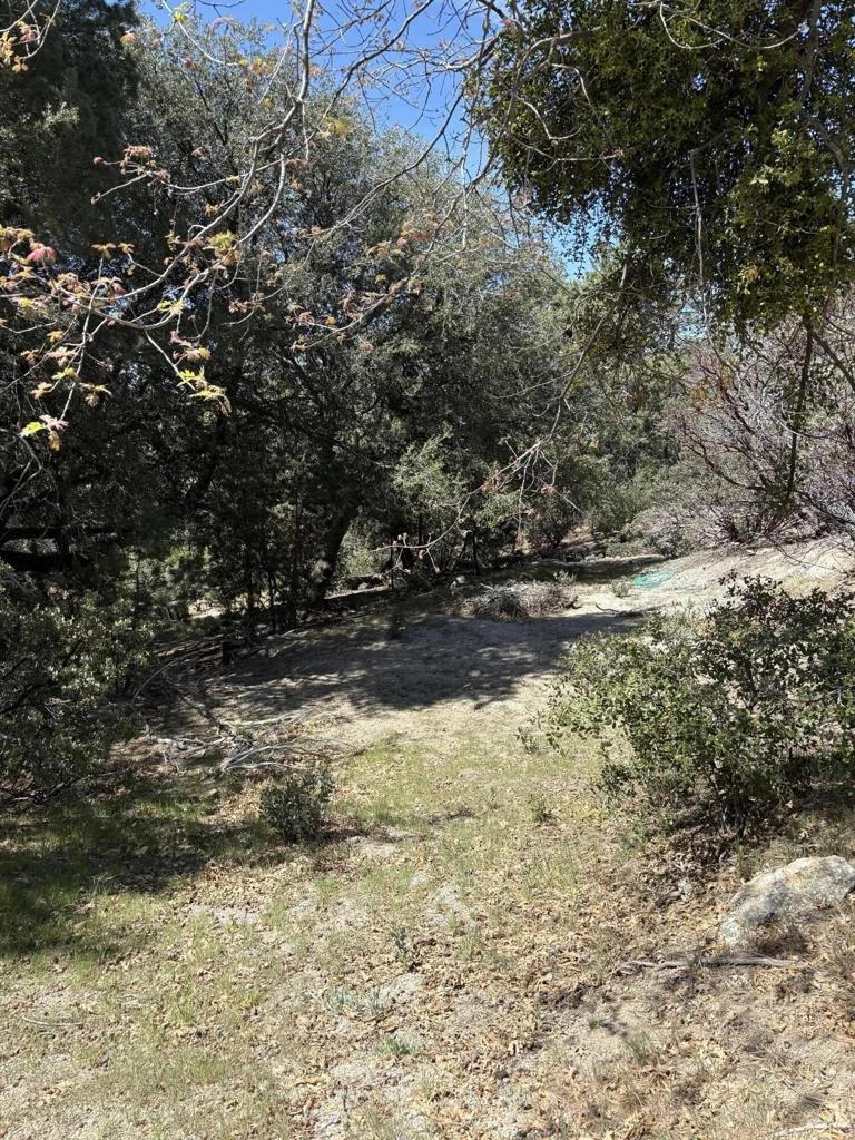 Photo of 0 Schaffer Drive