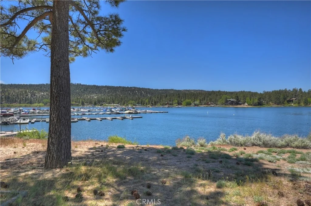 Photo of 39605 Lake