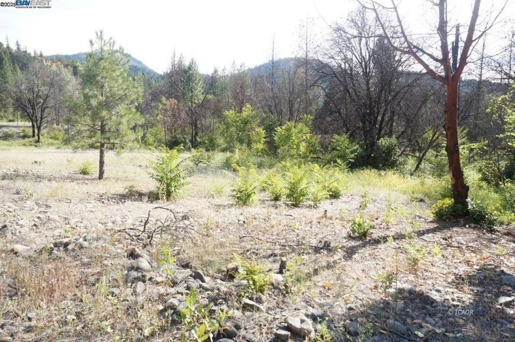 Photo of 101 River Acres