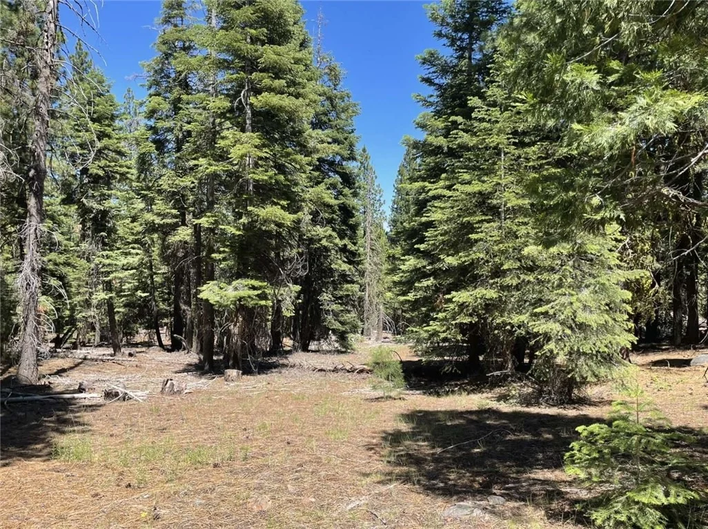 Photo of 0 Range Road
