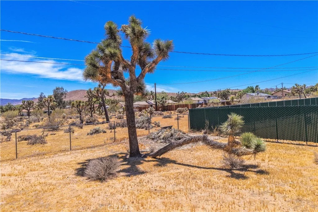 Photo of 58773 Sunflower Drive