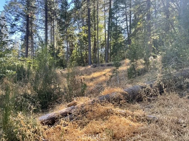 Photo of 0 Old Forbestown Road