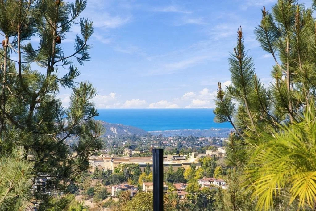 Photo of 3562 Calle Palmito