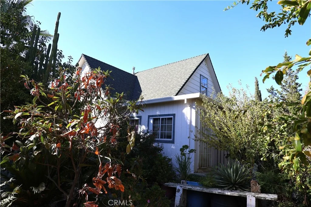Photo of 1216 Pear
