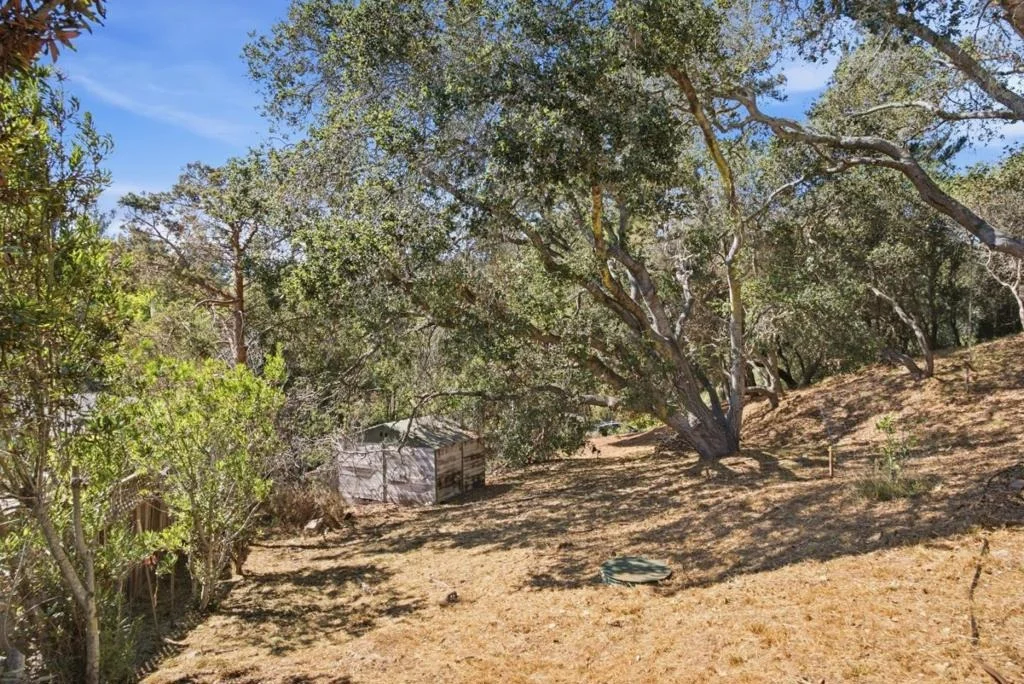 Photo of 175 Chaparral Drive
