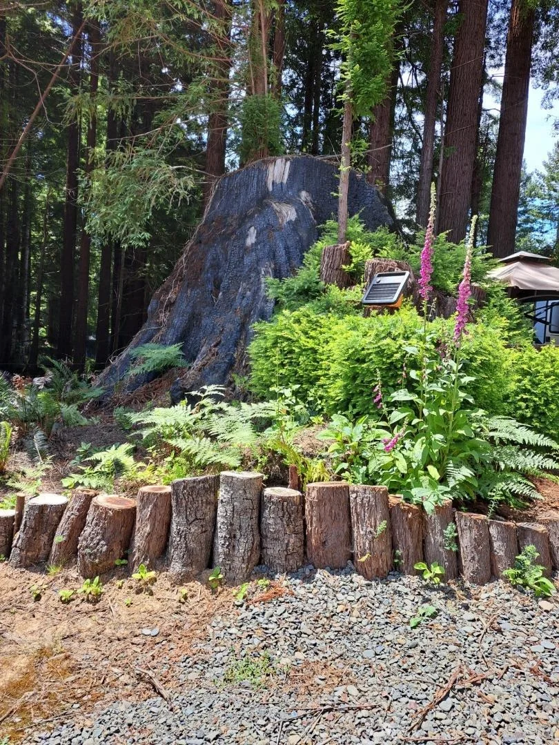 Photo of 3119 Hillside Drive