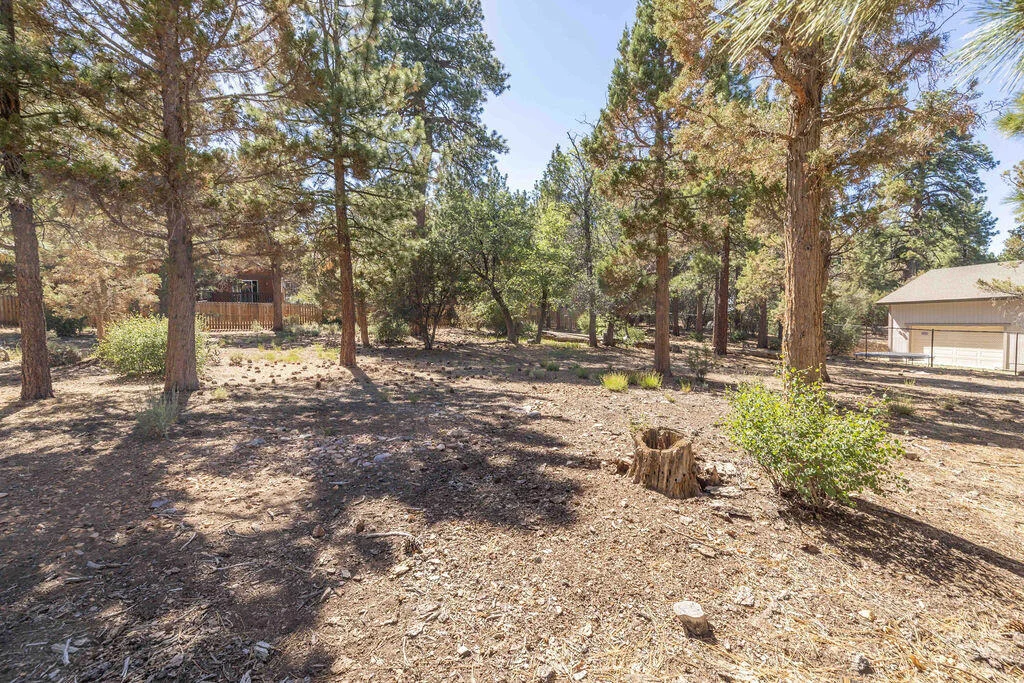 Photo of 655 Cedar Glen Drive