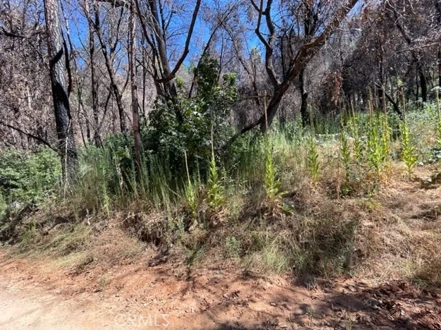 Photo of 27 Broken Springs